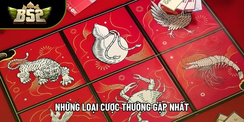 Những loại cược thường gặp nhất