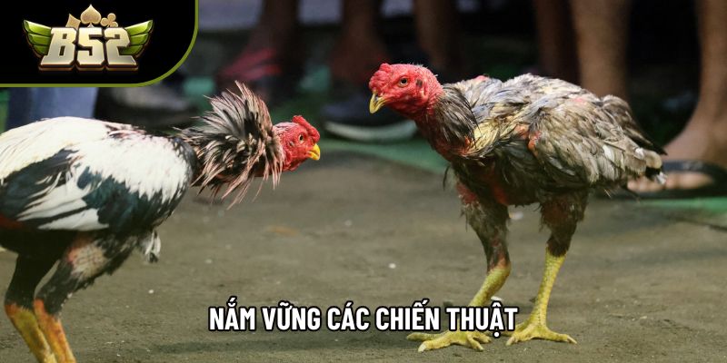 Nắm vững các chiến thuật